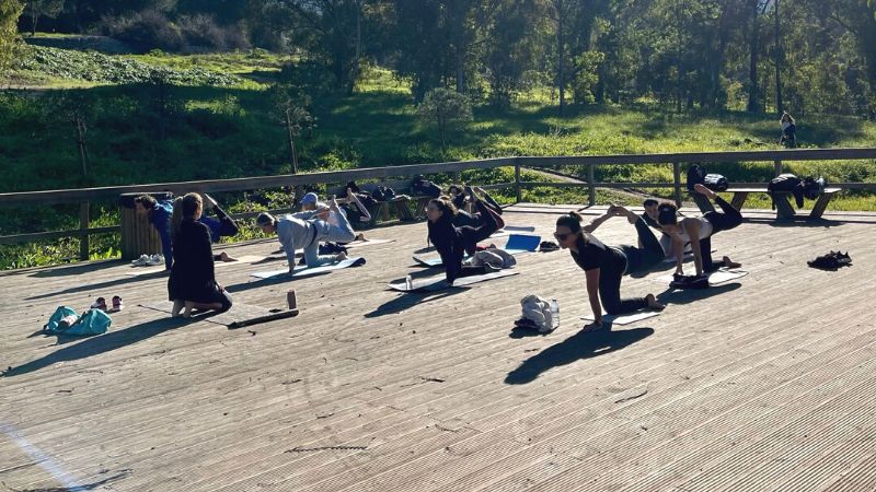 YOGA: A ARTE DE UNIR CORPO, MENTE E ALMA PARA UMA VIDA MAIS EQUILIBRADA ...